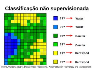 Classificação não supervisionada
Verma, Vandana (2014). Digital Image Processing. Axis Institute of Technology and Management.
 