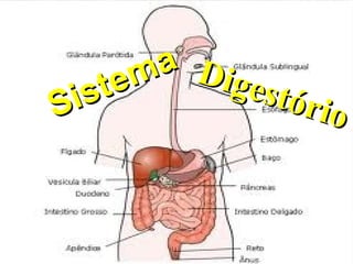 Sistema
Sistema Digestório
Digestório
 