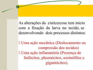 As alterações da cisticercose tem inicio
com a fixação da larva no tecido, se
desenvolvendo dois processos distintos:
 Uma ação mecânica (Deslocamento ou
compressão dos tecidos)
 Uma ação inflamatória (Presença de
linfócitos, plasmócitos, eosinófilos e
gigantócitos).
 