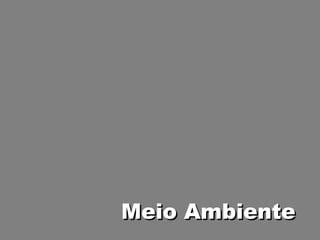 Meio Ambiente 