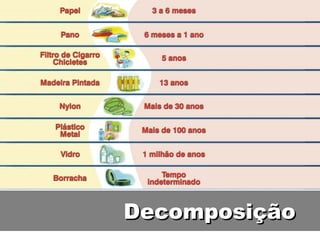 Decomposição 