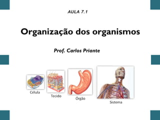 Organização dos organismos
AULA 7.1
Prof. Carlos Priante
 