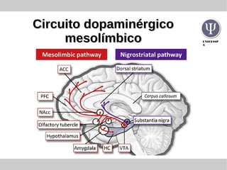 UNIFESSP
A
Circuito dopaminérgicoCircuito dopaminérgico
mesolímbicomesolímbico
 