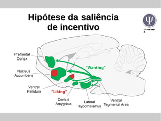 UNIFESSP
A
Hipótese da saliênciaHipótese da saliência
de incentivode incentivo
 