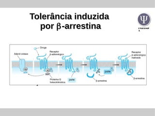 UNIFESSP
A
Tolerância induzidaTolerância induzida
porpor ββ-arrestina-arrestina
 