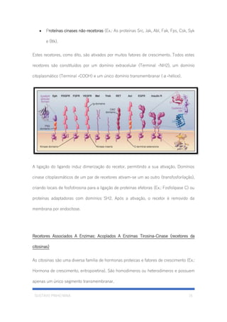 GUSTAVO PINHO MAIA 15
• Proteínas cinases não-recetoras (Ex.: As proteínas Src, Jak, Abl, Fak, Fps, Csk, Syk
e Btk).
Estes recetores, como dito, são ativados por muitos fatores de crescimento. Todos estes
recetores são constituídos por um domínio extracelular (Terminal -NH2), um domínio
citoplasmático (Terminal -COOH) e um único domínio transmembranar (α-hélice).
A ligação do ligando induz dimerização do recetor, permitindo a sua ativação. Domínios
cinase citoplasmáticos de um par de recetores ativam-se um ao outro (transfosforilação),
criando locais de fosfotirosina para a ligação de proteínas efetoras (Ex.: Fosfolipase C) ou
proteínas adaptadoras com domínios SH2. Após a ativação, o recetor é removido da
membrana por endocitose.
Recetores Associados A Enzimas: Acoplados A Enzimas Tirosina-Cinase (recetores da
citosinas)
As citosinas são uma diversa família de hormonas proteicas e fatores de crescimento (Ex.:
Hormona de crescimento, eritropoietina). São homodímeros ou heterodímeros e possuem
apenas um único segmento transmembranar.
 