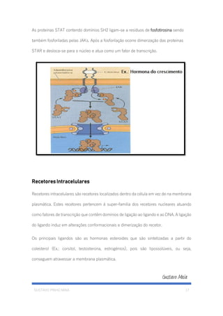 GUSTAVO PINHO MAIA 17
As proteínas STAT contendo domínios SH2 ligam-se a resíduos de fosfotirosina sendo
também fosforiladas pelas JAKs. Após a fosforilação ocorre dimerização das proteínas
STAR e desloca-se para o núcleo e atua como um fator de transcrição.
Recetores Intracelulares
Recetores intracelulares são recetores localizados dentro da célula em vez de na membrana
plasmática. Estes recetores pertencem á super-familia dos recetores nucleares atuando
como fatores de transcrição que contêm domínios de ligação ao ligando e ao DNA. A ligação
do ligando induz em alterações conformacionais e dimerização do recetor.
Os principais ligandos são as hormonas esteroides que são sintetizadas a partir do
colesterol (Ex.: corsitol, testosterona, estrogénios), pois são lipossolúveis, ou seja,
conseguem atravessar a membrana plasmática.
 