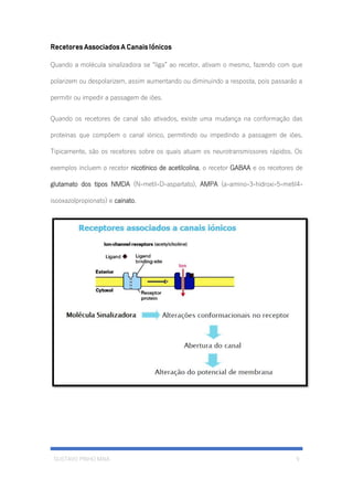 GUSTAVO PINHO MAIA 9
Recetores Associados A Canais Iónicos
Quando a molécula sinalizadora se “liga” ao recetor, ativam o mesmo, fazendo com que
polarizem ou despolarizem, assim aumentando ou diminuindo a resposta, pois passarão a
permitir ou impedir a passagem de iões.
Quando os recetores de canal são ativados, existe uma mudança na conformação das
proteínas que compõem o canal iónico, permitindo ou impedindo a passagem de iões.
Tipicamente, são os recetores sobre os quais atuam os neurotransmissores rápidos. Os
exemplos incluem o recetor nicotínico de acetilcolina, o recetor GABAA e os recetores de
glutamato dos tipos NMDA (N-metil-D-aspartato), AMPA (a-amino-3-hidroxi-5-metil4-
isooxazolpropionato) e cainato.
 