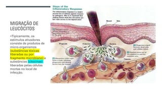MIGRAÇÃO DE
LEUCÓCITOS
¡Tipicamente, os
estímulos ativadores
consiste de produtos de
micro-organismos
(substâncias tóxicas
liberadas ou por
fragmento microbiano) e
substâncias (citocinas)
liberadas pelas células
mortas no local de
infecção.
 