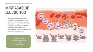 MIGRAÇÃO DE
LEUCÓCITOS
¡ As células endoteliais nos
locais de infecção e de lesão
tecidual também são ativadas,
principalmente em resposta a
citocinas secretadas por
macrófagos e por outras células
teciduais desses locais.
- Histamina
- Prostaglandina
- Cinina
- Leucotrieno
 