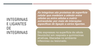 INTEGRINAS
E LIGANTES
DE
INTEGRINAS
As integrinas são proteínas de superfície
celular que medeiam a adesão entre
células ou entre células e matriz
extracelular, por meio de interações
específicas de ligação a vários ligantes.
São expressas na superfície da célula
(leucócito) em resposta a quimiocinas
atrativas, liberadas no ambiente
infeccioso ou lesionado.
 