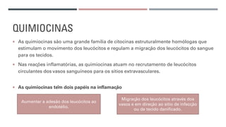 QUIMIOCINAS
¡ As quimiocinas são uma grande família de citocinas estruturalmente homólogas que
estimulam o movimento dos leucócitos e regulam a migração dos leucócitos do sangue
para os tecidos.
¡ Nas reações inflamatórias, as quimiocinas atuam no recrutamento de leucócitos
circulantes dos vasos sanguíneos para os sítios extravasculares.
¡ As quimiocinas têm dois papéis na inflamação
Aumentar a adesão dos leucócitos ao
endotélio.
Migração dos leucócitos através dos
vasos e em direção ao sítio de infecção
ou de tecido danificado.
 