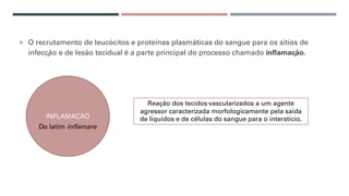 ¡ O recrutamento de leucócitos e proteínas plasmáticas do sangue para os sítios de
infecção e de lesão tecidual é a parte principal do processo chamado inflamação.
INFLAMAÇÃO
Do latim inflamare
Reação dos tecidos vascularizados a um agente
agressor caracterizada morfologicamente pela saída
de líquidos e de células do sangue para o interstício.
 