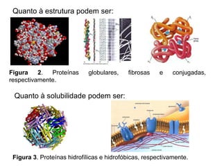 Figura 2. Proteínas globulares, fibrosas e conjugadas,
respectivamente.
Figura 3. Proteínas hidrofílicas e hidrofóbicas, respectivamente.
Quanto à solubilidade podem ser:
Quanto à estrutura podem ser:
 