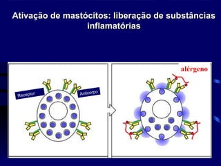 Ativação de mastócitos: liberação de substâncias
Ativação de mastócitos: liberação de substâncias
inflamatórias
inflamatórias
Receptor Anticorpo
Alergeno
alérgeno
 