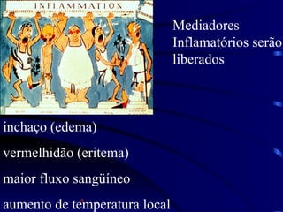 a
inchaço (edema)
vermelhidão (eritema)
maior fluxo sangüíneo
aumento de temperatura local
Mediadores
Inflamatórios serão
liberados
 