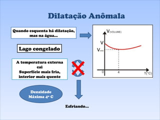 Dilatação Anômala Lago congelado Quando esquenta há dilatação, mas na água... A temperatura externa cai Superfície mais fria, interior mais quente Densidade Máxima 4º C Esfriando... 