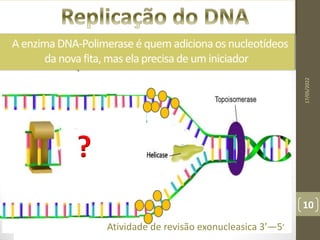 A enzima DNA-Polimerase é quem adiciona os nucleotídeos
da nova fita, mas ela precisa de um iniciador
?
17/05/2022
10
Atividade de revisão exonucleasica 3’—5’
 