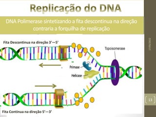 DNA Polimerase sintetizando a fita descontinua na direção
contrariaa forquilha de replicação
Fita Continua na direção 5’—3’
Fita Descontinua na direção 3’—5’
17/05/2022
13
 