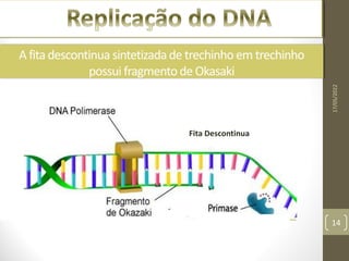 Replicação do DNA
A fita descontinua sintetizadade trechinho em trechinho
possui fragmentode Okasaki
17/05/2022
14
Fita Descontinua
 