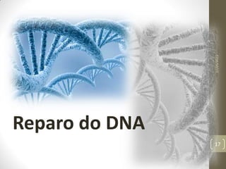 17/05/2022
17
Reparo do DNA
 