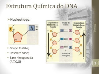 Estrutura Química do DNA
Nucleotídeo:
 Grupo fosfato;
 Desoxirribose;
 Base nitrogenada
(A,T,C,G)
17/05/2022
3
 