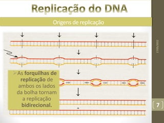 Origens de replicação
As forquilhas de
replicação de
ambos os lados
da bolha tornam
a replicação
bidirecional.
17/05/2022
7
 