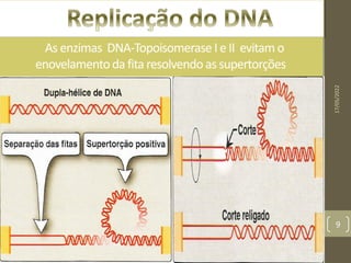 As enzimas DNA-Topoisomerase I e II evitam o
enovelamentoda fita resolvendo as supertorções
17/05/2022
9
 
