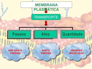 NÃO GASTA
ENERGIA
GRANDES
MOLÉCULAS
GASTA
ENERGIA
TRANSPORTE
S
Passivo Ativo Quantidade
MEMBRANA
PLASMÁTICA
 
