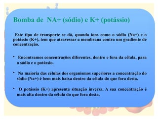 Bomba de NA+ (sódio) e K+ (potássio)
Este tipo de transporte se dá, quando íons como o sódio (Na+) e o
potássio (K+), tem que atravessar a membrana contra um gradiente de
concentração.
• Encontramos concentrações diferentes, dentro e fora da célula, para
o sódio e o potássio.
• Na maioria das células dos organismos superiores a concentração do
sódio (Na+) é bem mais baixa dentro da célula do que fora desta.
• O potássio (K+) apresenta situação inversa. A sua concentração é
mais alta dentro da célula do que fora desta.
 