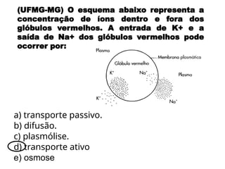 (UFMG-MG) O esquema abaixo representa a
concentração de íons dentro e fora dos
glóbulos vermelhos. A entrada de K+ e a
saída de Na+ dos glóbulos vermelhos pode
ocorrer por:
a) transporte passivo.
b) difusão.
c) plasmólise.
d) transporte ativo
e) osmose
 