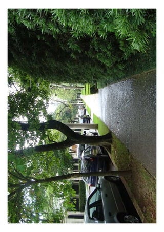 Aula 7   cidade jardim