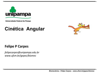 Felipe P Carpes [email_address] www.ufsm.br/gepec/biomec  Cinética  Angular 