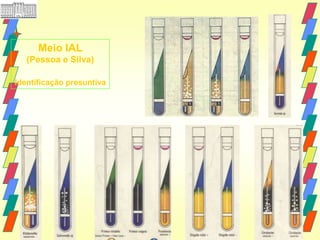 Meio IAL
   (Pessoa e Silva)

Identificação presuntiva
 