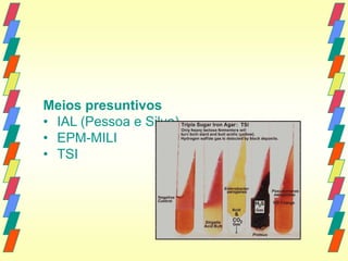Meios presuntivos
• IAL (Pessoa e Silva)
• EPM-MILI
• TSI
 