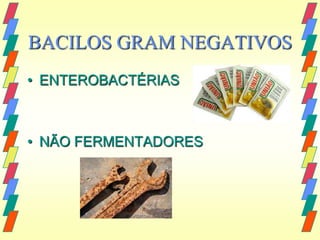 BACILOS GRAM NEGATIVOS
• ENTEROBACTÉRIAS



• NÃO FERMENTADORES
 