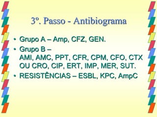 3º. Passo - Antibiograma
• Grupo A – Amp, CFZ, GEN.
• Grupo B –
  AMI, AMC, PPT, CFR, CPM, CFO, CTX
  OU CRO, CIP, ERT, IMP, MER, SUT.
• RESISTÊNCIAS – ESBL, KPC, AmpC
 