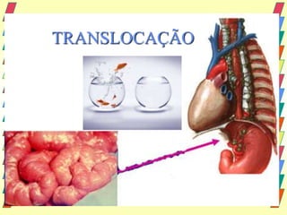 TRANSLOCAÇÃO
 
