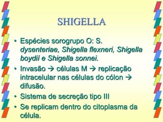 SHIGELLA
• Espécies sorogrupo O: S.
  dysenteriae, Shigella flexneri, Shigella
  boydií e Shigella sonnei.
• Invasão  células M  replicação
  intracelular nas células do cólon 
  difusão.
• Sistema de secreção tipo III
• Se replicam dentro do citoplasma da
  célula.
 