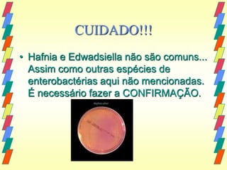 CUIDADO!!!
• Hafnia e Edwadsiella não são comuns...
  Assim como outras espécies de
  enterobactérias aqui não mencionadas.
  É necessário fazer a CONFIRMAÇÃO.
 
