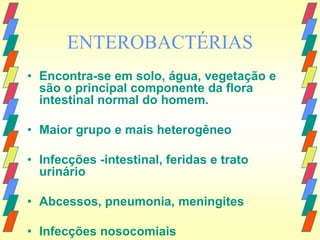 ENTEROBACTÉRIAS
• Encontra-se em solo, água, vegetação e
  são o principal componente da flora
  intestinal normal do homem.

• Maior grupo e mais heterogêneo

• Infecções -intestinal, feridas e trato
  urinário

• Abcessos, pneumonia, meningites

• Infecções nosocomiais
 