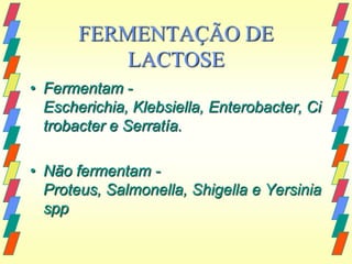 FERMENTAÇÃO DE
           LACTOSE
• Fermentam -
  Escherichia, Klebsiella, Enterobacter, Ci
  trobacter e Serratía.

• Não fermentam -
  Proteus, Salmonella, Shigella e Yersinia
  spp
 