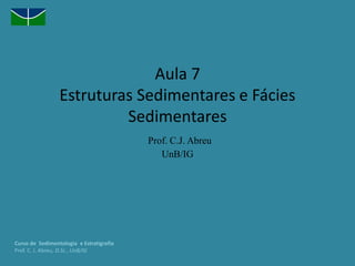 Aula 7
Estruturas Sedimentares e Fácies
Sedimentares
Prof. C.J. Abreu
UnB/IG
Curso de Sedimentologia e Estratigrafia
Prof. C. J. Abreu, D.Sc., UnB/IG
 