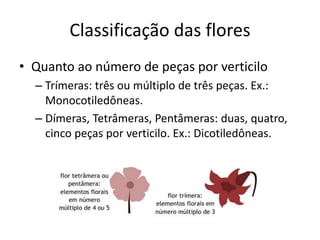 Classificação das flores 
•Quanto ao número de peças por verticilo 
–Trímeras: três ou múltiplo de três peças. Ex.: Monocotiledôneas. 
–Dímeras, Tetrâmeras, Pentâmeras: duas, quatro, cinco peças por verticilo. Ex.: Dicotiledôneas.  
