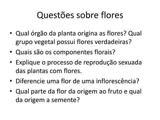 Questões sobre flores 
•Qual órgão da planta origina as flores? Qual grupo vegetal possui flores verdadeiras? 
•Quais são os componentes florais? 
•Explique o processo de reprodução sexuada das plantas com flores. 
•Diferencie uma flor de uma inflorescência? 
•Qual parte da flor da origem ao fruto e qual da origem a semente?  