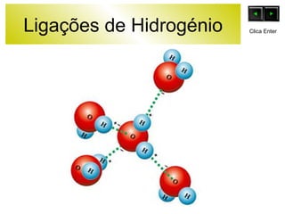 Ligações de Hidrogénio Clica Enter 
 
