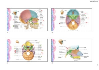 01/04/2020
3
Magno
9
10
11
12
 