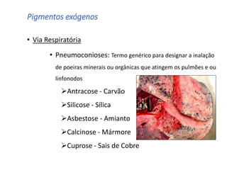Pigmentos exógenos
• Via Respiratória
• Pneumoconioses: Termo genérico para designar a inalação
de poeiras minerais ou orgânicas que atingem os pulmões e ou
linfonodos
Antracose - Carvão
Silicose - Sílica
Asbestose - Amianto
Calcinose - Mármore
Cuprose - Sais de Cobre
 