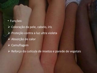 • Funções:
 Coloração da pele, cabelo, íris
 Proteção contra a luz ultra violeta
 Absorção de calor
 Camuflagem
 Reforço da cutícula de insetos e parede de vegetais
 