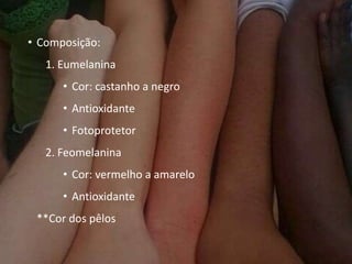 • Composição:
1. Eumelanina
• Cor: castanho a negro
• Antioxidante
• Fotoprotetor
2. Feomelanina
• Cor: vermelho a amarelo
• Antioxidante
**Cor dos pêlos
 